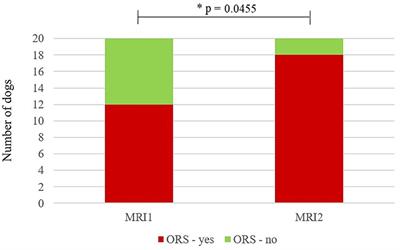 Longitudinal assessment of syringomyelia in Pomeranians